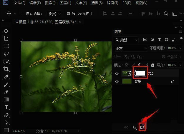 图层面板显示已经添加了白底蒙版的图片图层