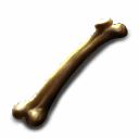 骨骼分解过程展示,骨头被研磨成粉末状