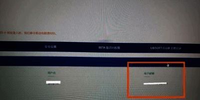 账户设置页面中电子邮件选项高亮显示