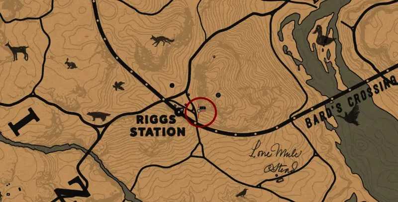 负鼠躺在地上装死，玩家准备出手