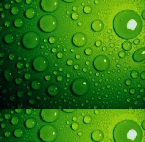 CorelDraw X4完成背景导入后的界面预览图，展示实际背景效果