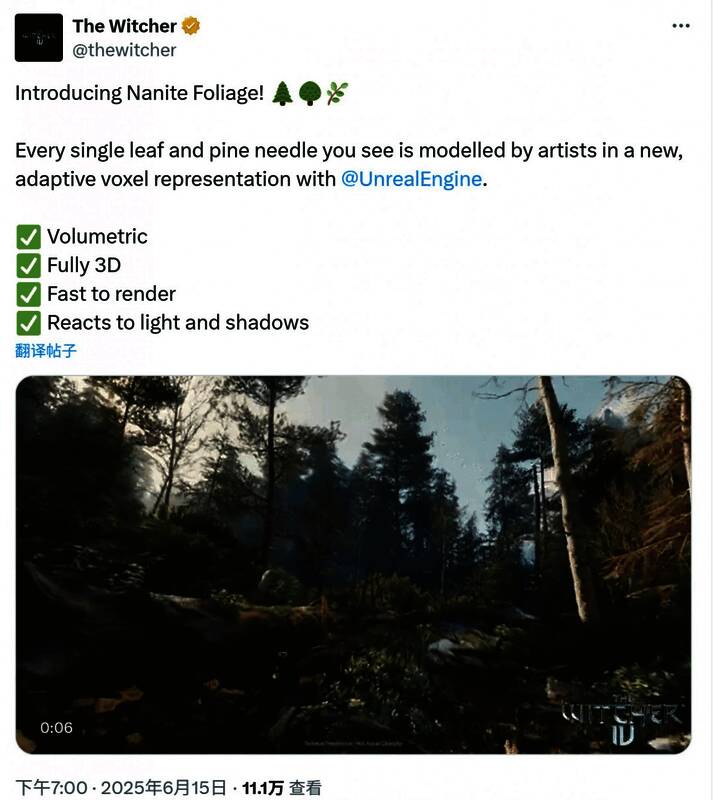 《巫师4》Nanite树叶技术展示图，森林中每片叶子清晰可见