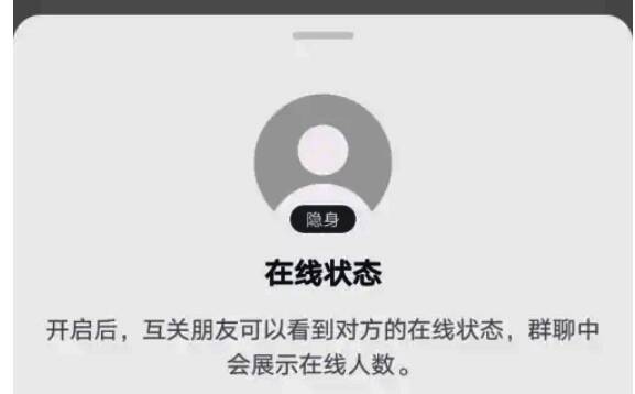 隐私设置页面找到在线状态选项示意图