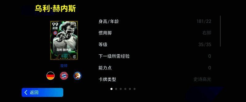 赫内斯球员形象图