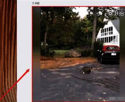 打开视频播放页面