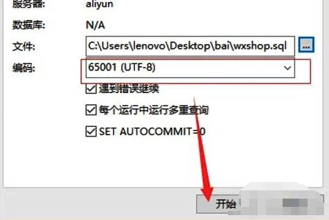 选择编码并开始导入的界面图