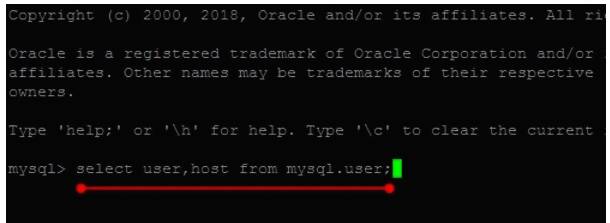 输入查询语句的界面图片