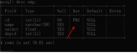 定义完所有列后指定主键示例图