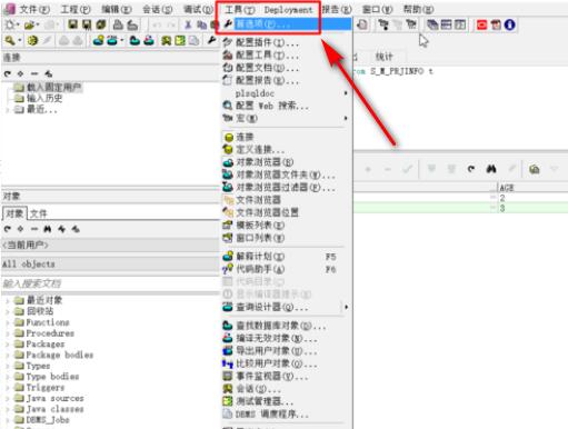 pl/sql developer点击工具和首选项界面图片