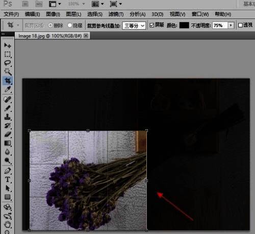 确定裁剪范围并按回车键的界面图