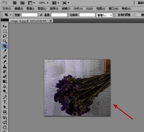 剪裁后的效果展示图