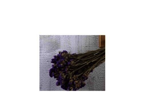 截图成功后的图片展示图