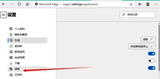 点击语言选项图片