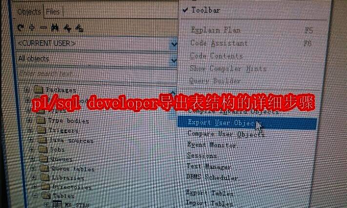 pl/sql developer相关图片1