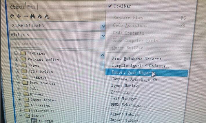 点击 Export User Objects 操作界面图