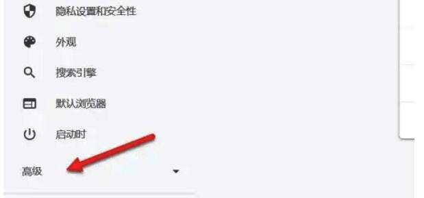 谷歌浏览器高级设置展开图片