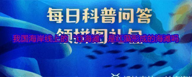 红海滩相关配图1