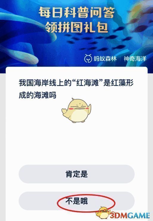 红海滩相关配图2