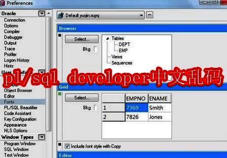pl/sql developer 相关配图 1