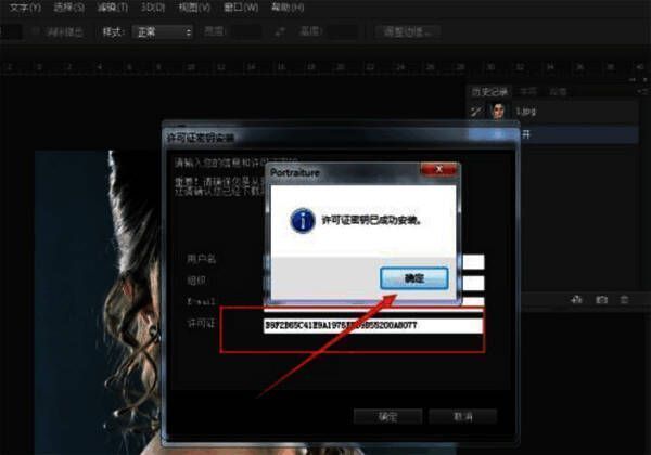 粘贴插件许可证操作图片