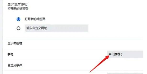 谷歌浏览器外观设置选项图片