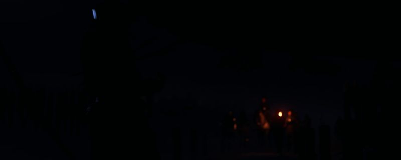 《天国：拯救2》金盏花药剂相关画面1