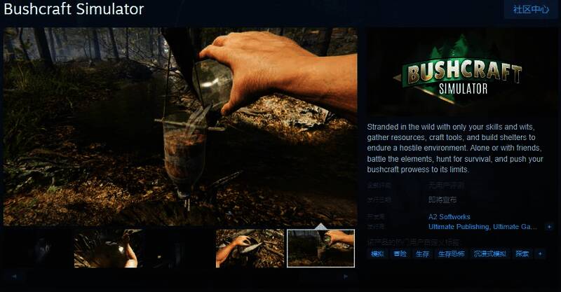 《Bushcraft Simulator》游戏画面1