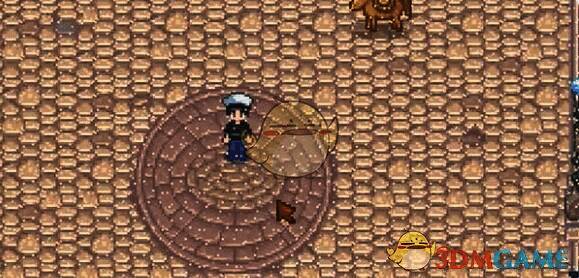 星露谷物语指定位置图2