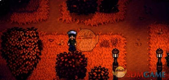 鹈鹕镇通往海滩桥西北方向大灌木丛另一角度配图