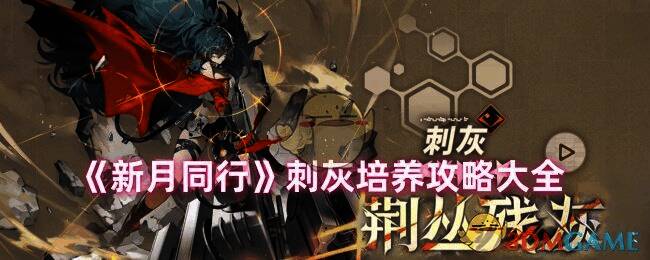 刺灰相关游戏画面