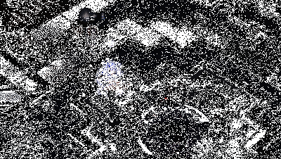 馨香祷祝技能动图