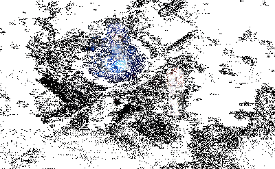 晨昏瞻谒技能动图2