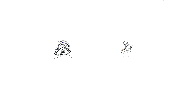 暗处的守护被动效果动画展示