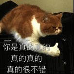 拉格朗日游戏画面