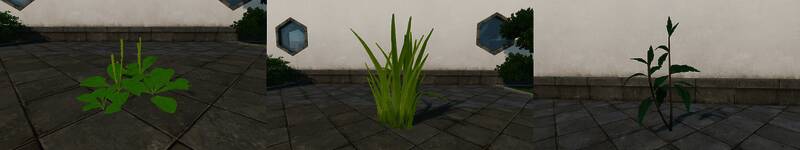 花草山石展示图2