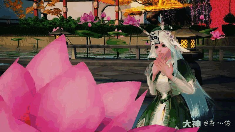 香灬依少侠在池塘边被荷花美景惊艳的照片