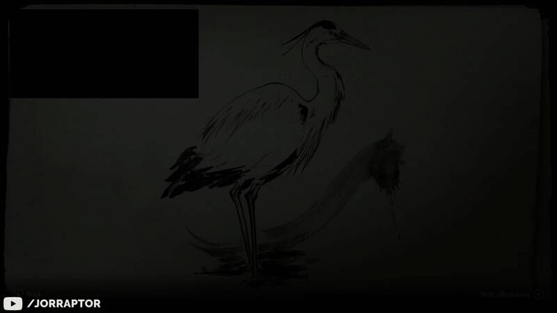 视频画面之十一