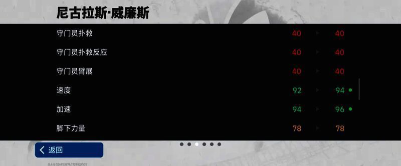 威廉斯赛场图片5