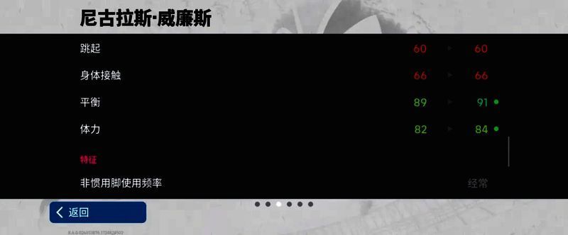 威廉斯赛场图片6