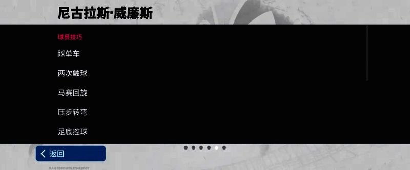 威廉斯赛场图片8