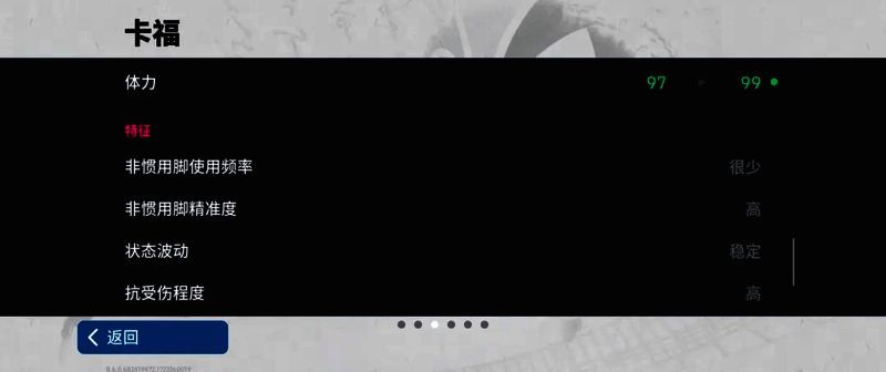 卡福比赛英姿图8