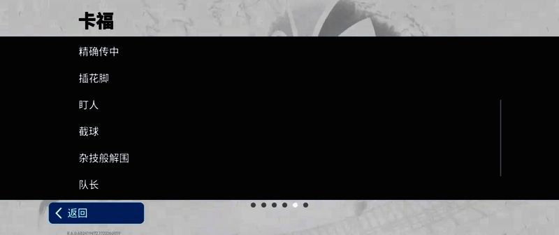 卡福比赛英姿图11