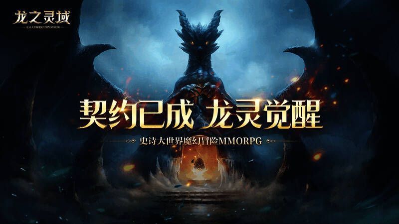 龙之灵域游戏画面