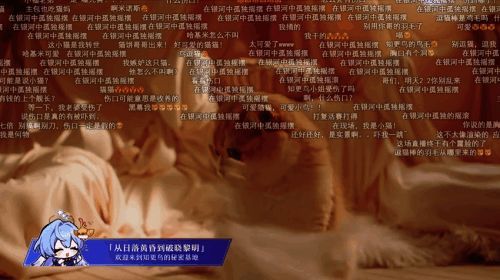 知更鸟慢直播画面