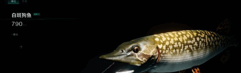 白斑狗鱼武器图片