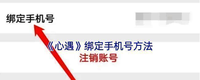 心遇 APP 绑定手机号相关界面示例图1