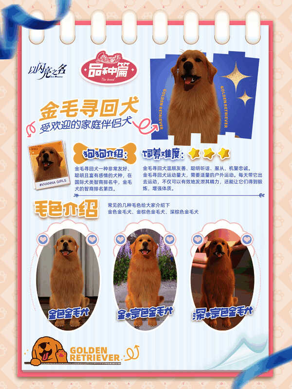 推文相关图片10