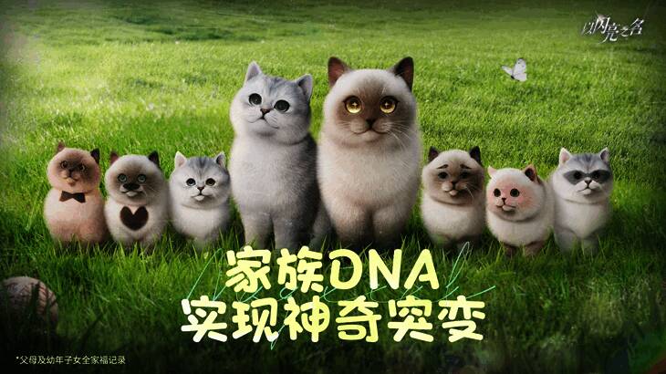 推文相关图片11