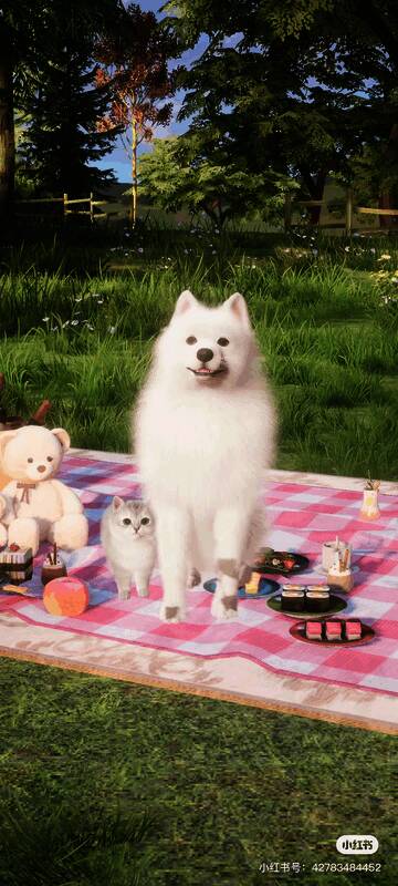 推文相关图片15