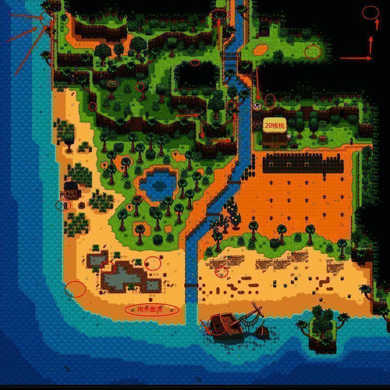 星露谷物语姜岛西部画面